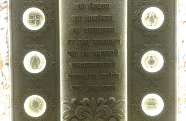 WhatsApp Image 2025-02-20 at 3.11.47 PM (1)